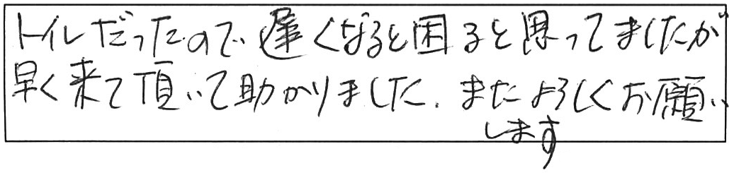 トイレ詰まり除去などの作業/80代女性