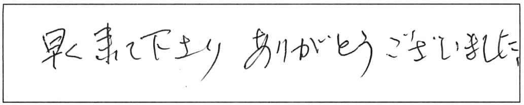 トイレ詰まり除去などの作業/80代男性