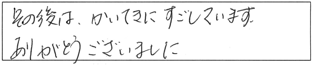 屋外詰まり除去などの作業/50代男性