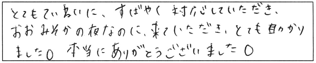 屋外詰まり除去などの作業/50代女性