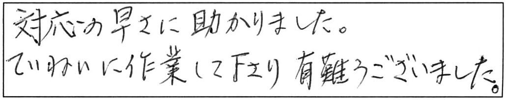 トイレ詰まり除去などの作業/70代男性