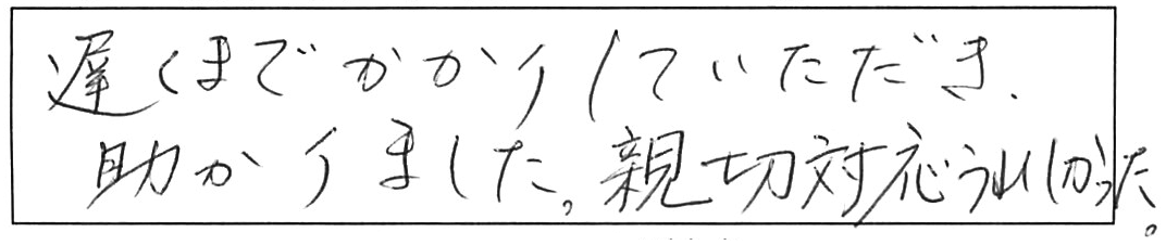 屋外排水マスつまりで木の根っ子除去/60代女性