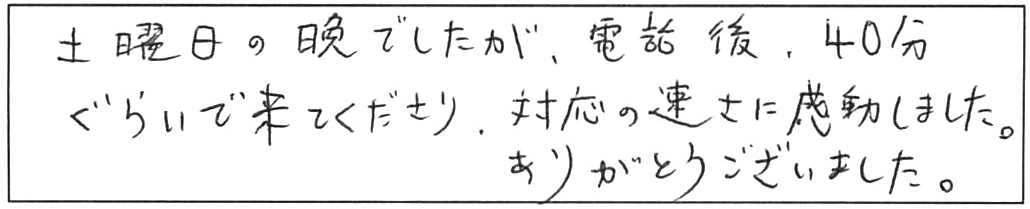 トイレ詰まり除去などの作業/男性