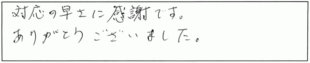トイレ詰まり除去などの作業/60代女性