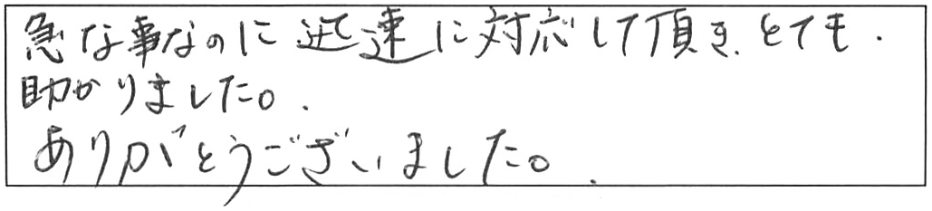 トイレ詰まり除去などの作業/40代女性