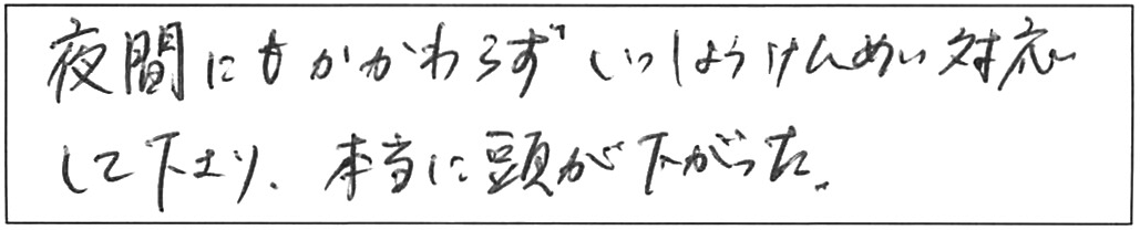 トイレ詰まり除去などの作業/80代男性