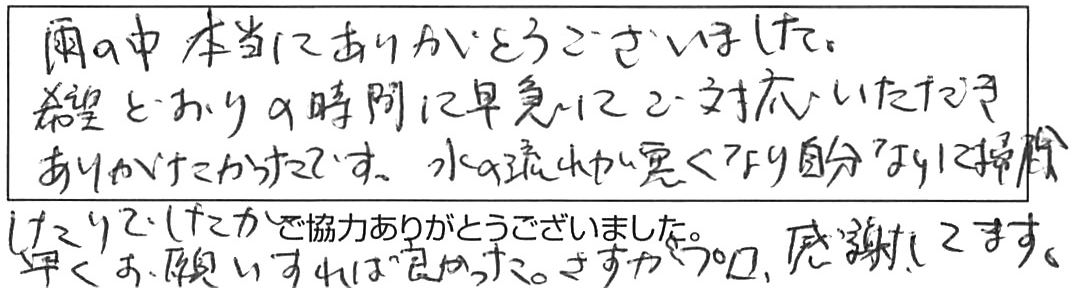 屋外詰まり除去などの作業