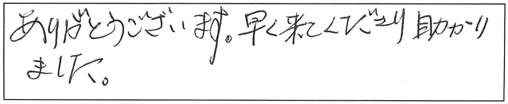蛇口交換などの作業/70代女性