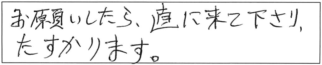 トイレットペーパーがつまった屋外排水清掃/70代男性