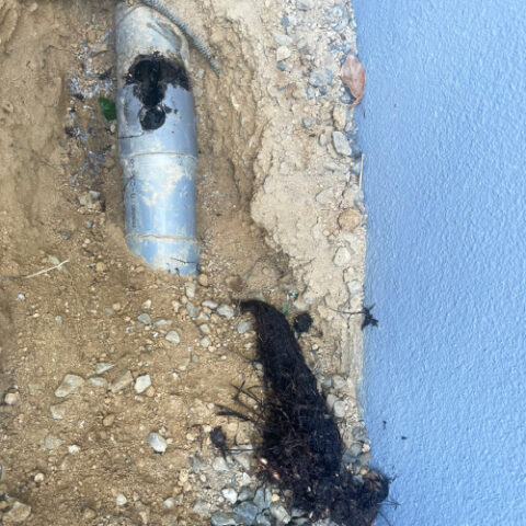 これは木の根です。
this is a tree root.